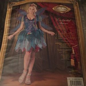 Fairy Costume